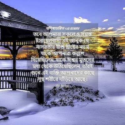 Picture 04 - पশিষ্যচরিত 4:10 BENIRV - তবে আপনারা সকলে ও - Bible Verse Picture