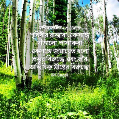 Picture 04 - पশিষ্যচরিত 4:26 BENIRV - পৃথিবীর রাজারা - Bible Verse Picture