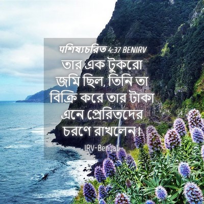 Picture 04 - पশিষ্যচরিত 4:37 BENIRV - তার এক টুকরো জমি - Bible Verse Picture