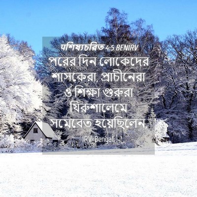 Picture 04 - पশিষ্যচরিত 4:5 BENIRV - পরের দিন লোকেদের - Bible Verse Picture