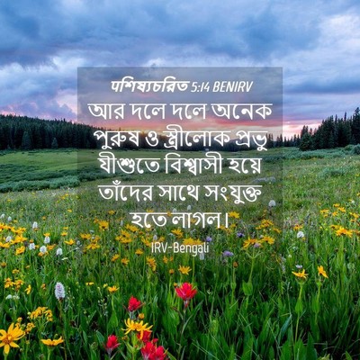 Picture 04 - पশিষ্যচরিত 5:14 BENIRV - আর দলে দলে অনেক - Bible Verse Picture