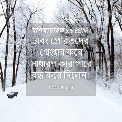 Picture 04 - पশিষ্যচরিত 5:18 BENIRV - এবং প্রেরিতদের - Bible Verse Picture