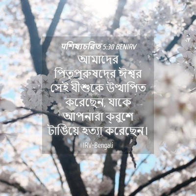 Picture 04 - पশিষ্যচরিত 5:30 BENIRV - আমাদের - Bible Verse Picture