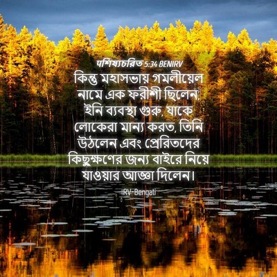 Picture 04 - पশিষ্যচরিত 5:34 BENIRV - কিন্তু মহাসভায় - Bible Verse Picture