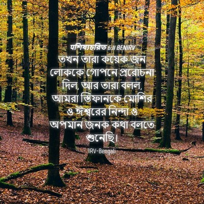 Picture 04 - पশিষ্যচরিত 6:11 BENIRV - তখন তারা কয়েক জন - Bible Verse Picture