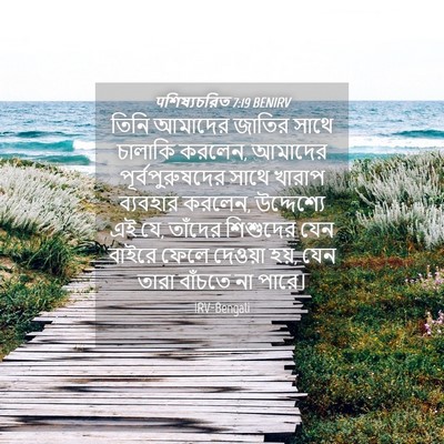 Picture 04 - पশিষ্যচরিত 7:19 BENIRV - তিনি আমাদের জাতির - Bible Verse Picture