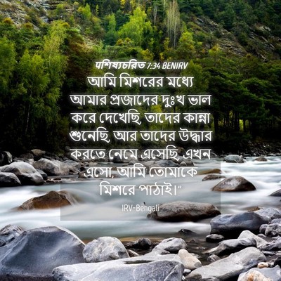 Picture 04 - पশিষ্যচরিত 7:34 BENIRV - আমি মিশরের মধ্যে - Bible Verse Picture