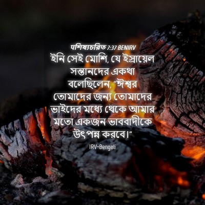 Picture 04 - पশিষ্যচরিত 7:37 BENIRV - ইনি সেই মোশি, যে - Bible Verse Picture