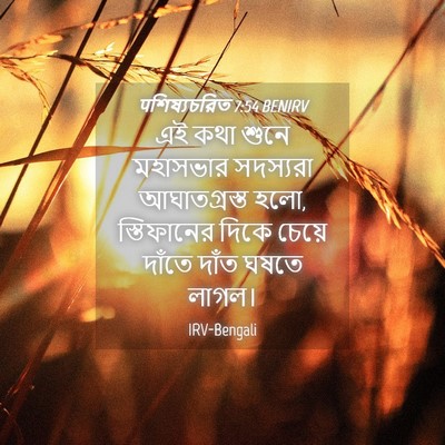 Picture 04 - पশিষ্যচরিত 7:54 BENIRV - এই কথা শুনে - Bible Verse Picture