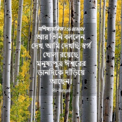 Picture 04 - पশিষ্যচরিত 7:56 BENIRV - আর তিনি বললেন, দেখ, - Bible Verse Picture