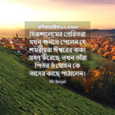 Picture 04 - पশিষ্যচরিত 8:14 BENIRV - যিরূশালেমের - Bible Verse Picture