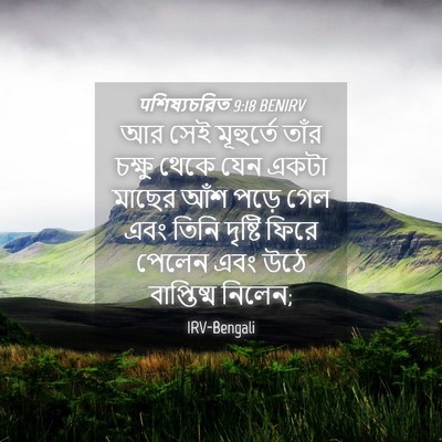 Picture 04 - पশিষ্যচরিত 9:18 BENIRV - আর সেই মূহুর্তে - Bible Verse Picture