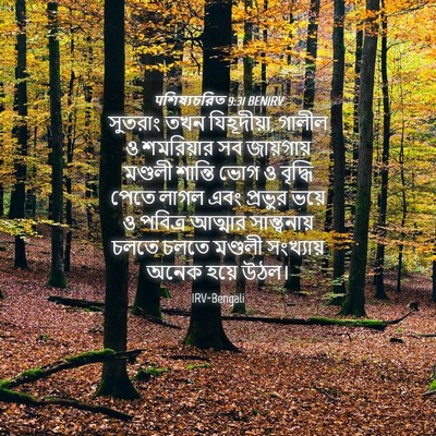 Picture 04 - पশিষ্যচরিত 9:31 BENIRV - সুতরাং তখন - Bible Verse Picture
