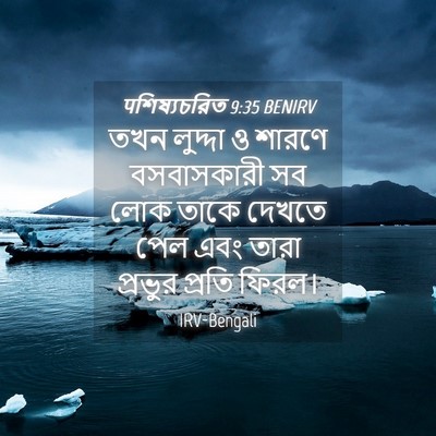 Picture 04 - पশিষ্যচরিত 9:35 BENIRV - তখন লুদ্দা ও শারণে - Bible Verse Picture
