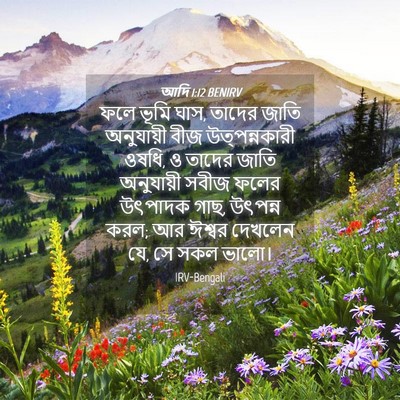 Picture 04 - আদি 1:12 BENIRV - ফলে ভূমি ঘাস, তাদের - Bible Verse Picture