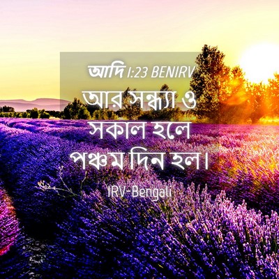 Picture 04 - আদি 1:23 BENIRV - আর সন্ধ্যা ও সকাল - Bible Verse Picture