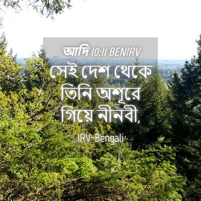 Picture 04 - আদি 10:11 BENIRV - সেই দেশ থেকে তিনি - Bible Verse Picture