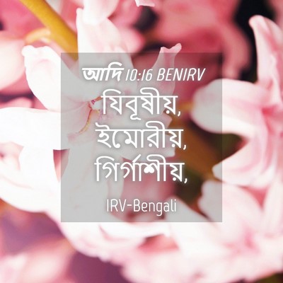Picture 04 - আদি 10:16 BENIRV - যিবূষীয়, ইমোরীয়, - Bible Verse Picture