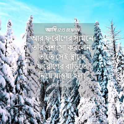 Picture 04 - আদি 12:15 BENIRV - আর ফরৌণের সামনে - Bible Verse Picture