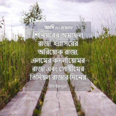 Picture 04 - আদি 14:1 BENIRV - শিনিয়রের অম্রাফল - Bible Verse Picture
