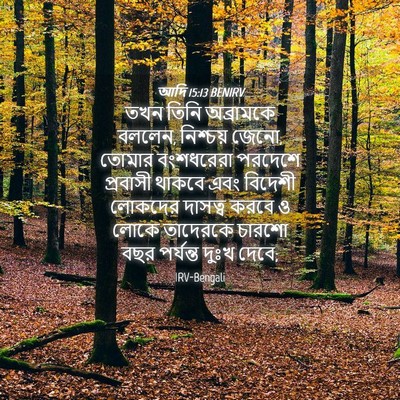 Picture 04 - আদি 15:13 BENIRV - তখন তিনি অব্রামকে - Bible Verse Picture