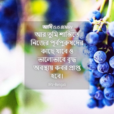 Picture 04 - আদি 15:15 BENIRV - আর তুমি শান্তিতে - Bible Verse Picture
