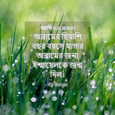 Picture 04 - আদি 16:16 BENIRV - অব্রামের ছিয়াশি - Bible Verse Picture