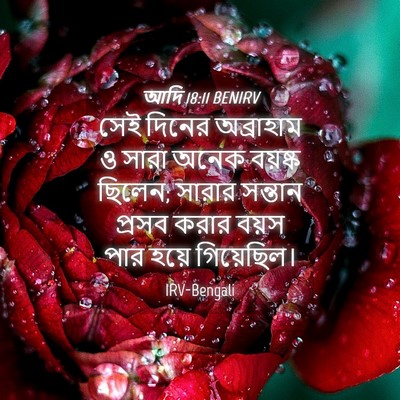 Picture 04 - আদি 18:11 BENIRV - সেই দিনের - Bible Verse Picture