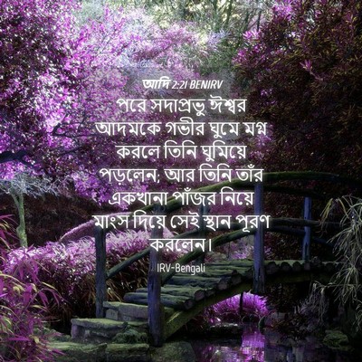 Picture 04 - আদি 2:21 BENIRV - পরে সদাপ্রভু - Bible Verse Picture