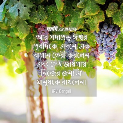 Picture 04 - আদি 2:8 BENIRV - আর সদাপ্রভু ঈশ্বর - Bible Verse Picture
