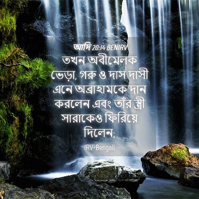 Picture 04 - আদি 20:14 BENIRV - তখন অবীমেলক ভেড়া, - Bible Verse Picture