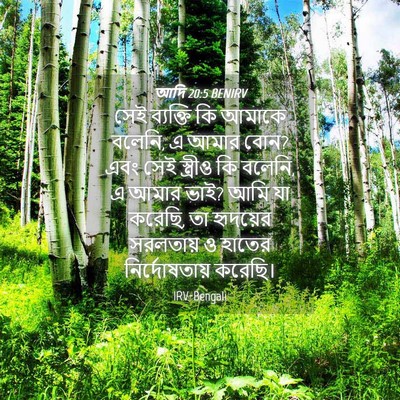 Picture 04 - আদি 20:5 BENIRV - সেই ব্যক্তি কি - Bible Verse Picture