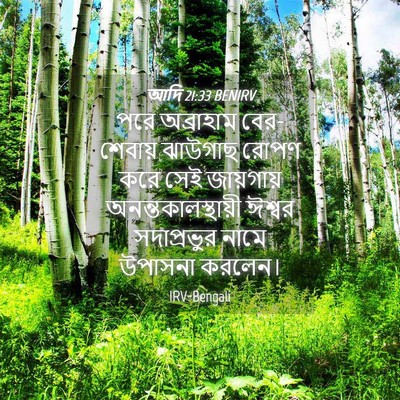 Picture 04 - আদি 21:33 BENIRV - পরে অব্রাহাম - Bible Verse Picture