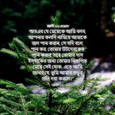 Picture 04 - আদি 24:14 BENIRV - অতএব যে মেয়েকে - Bible Verse Picture