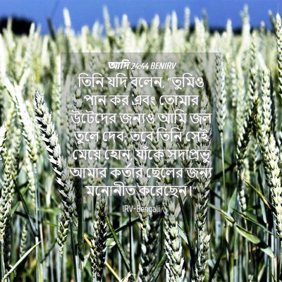 Picture 04 - আদি 24:44 BENIRV - তিনি যদি বলেন, - Bible Verse Picture