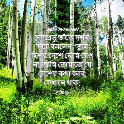 Picture 04 - আদি 26:2 BENIRV - সদাপ্রভু তাঁকে - Bible Verse Picture