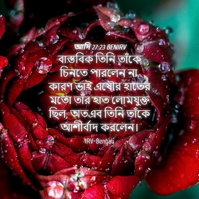 Picture 04 - আদি 27:23 BENIRV - বাস্তবিক তিনি - Bible Verse Picture