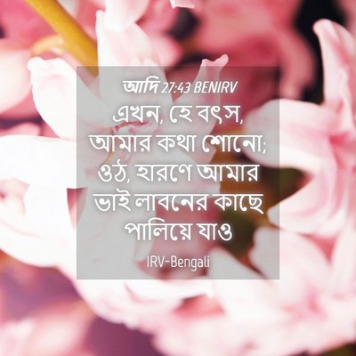 Picture 04 - আদি 27:43 BENIRV - এখন, হে বৎস, আমার - Bible Verse Picture