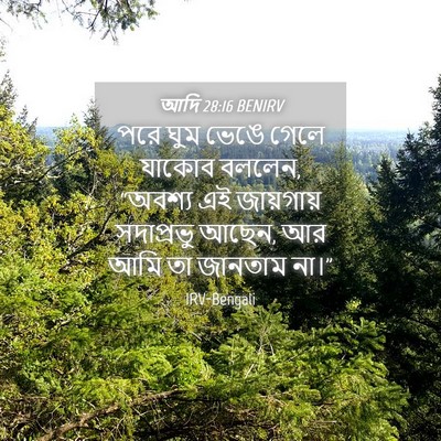 Picture 04 - আদি 28:16 BENIRV - পরে ঘুম ভেঙে গেলে - Bible Verse Picture