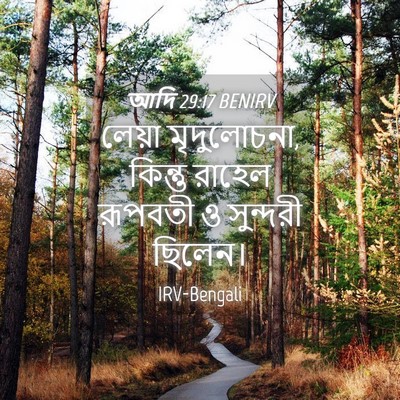Picture 04 - আদি 29:17 BENIRV - লেয়া মৃদুলোচনা, - Bible Verse Picture