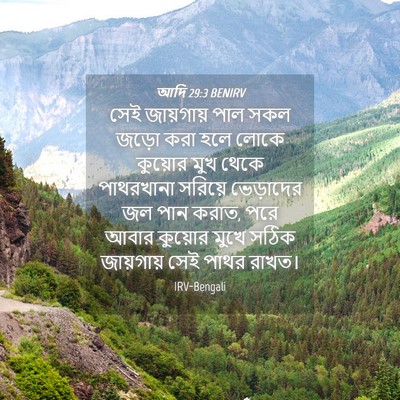 Picture 04 - আদি 29:3 BENIRV - সেই জায়গায় পাল - Bible Verse Picture