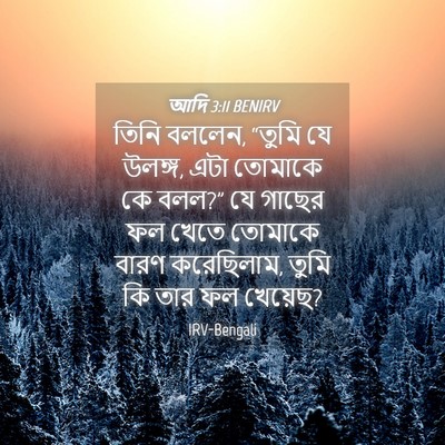 Picture 04 - আদি 3:11 BENIRV - তিনি বললেন, “তুমি - Bible Verse Picture