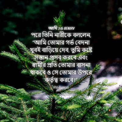 Picture 04 - আদি 3:16 BENIRV - পরে তিনি নারীকে - Bible Verse Picture
