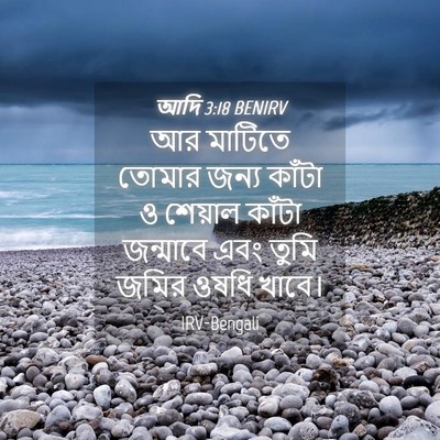 Picture 04 - আদি 3:18 BENIRV - আর মাটিতে তোমার - Bible Verse Picture