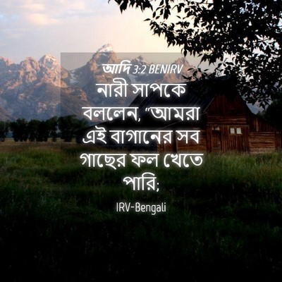 Picture 04 - আদি 3:2 BENIRV - নারী সাপকে বললেন, - Bible Verse Picture