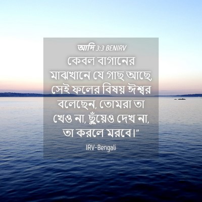 Picture 04 - আদি 3:3 BENIRV - কেবল বাগানের - Bible Verse Picture