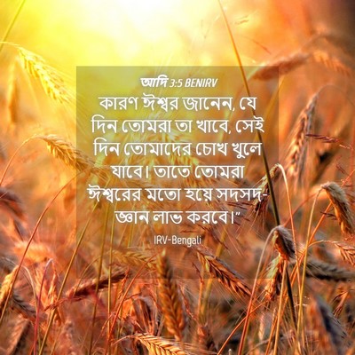 Picture 04 - আদি 3:5 BENIRV - কারণ ঈশ্বর জানেন, - Bible Verse Picture