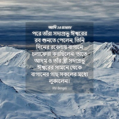 Picture 04 - আদি 3:8 BENIRV - পরে তাঁরা - Bible Verse Picture