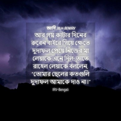 Picture 04 - আদি 30:14 BENIRV - আর গম কাটার দিনের - Bible Verse Picture