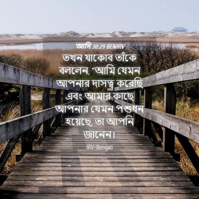 Picture 04 - আদি 30:29 BENIRV - তখন যাকোব তাঁকে - Bible Verse Picture